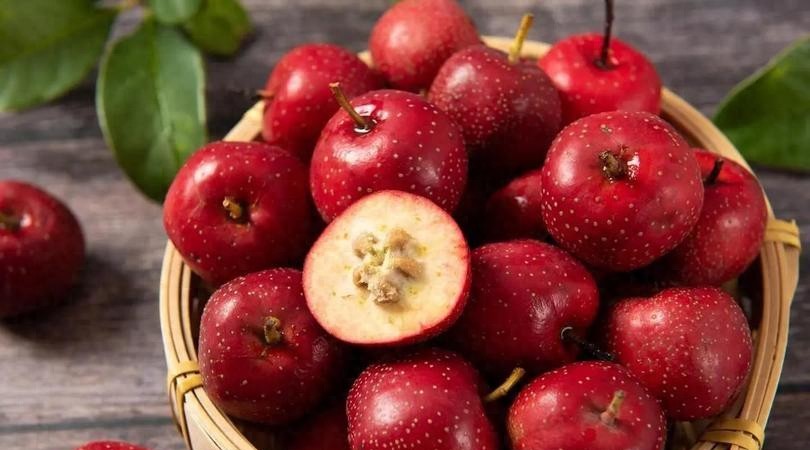 别再被骗了!山楂并不是传说中的“血栓溶解剂” 第1张 别再被骗了!山楂并不是传说中的“血栓溶解剂” 第1张